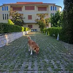 Apartamento Apollonia *
