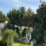 Apollonia *