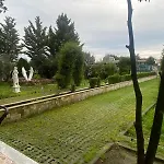 Apollonia Daire Fier