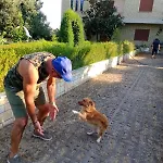 Apollonia *