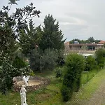 Apollonia Daire