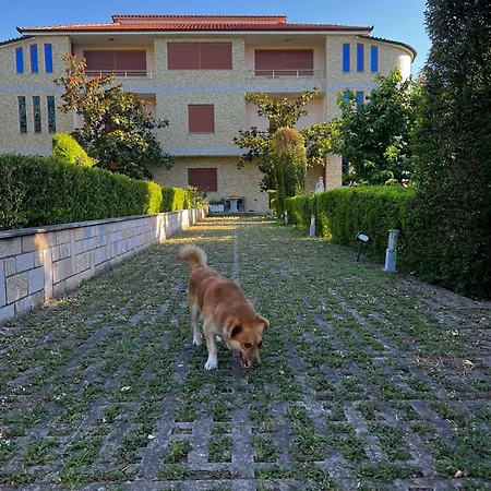 Appartement Apollonia *
