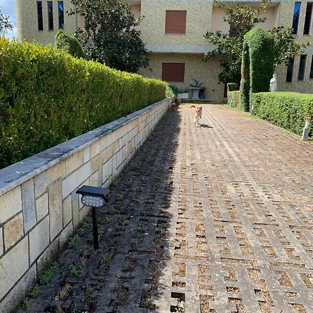 Apollonia Appartement