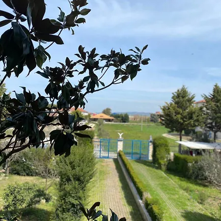 Appartement Apollonia Fier
