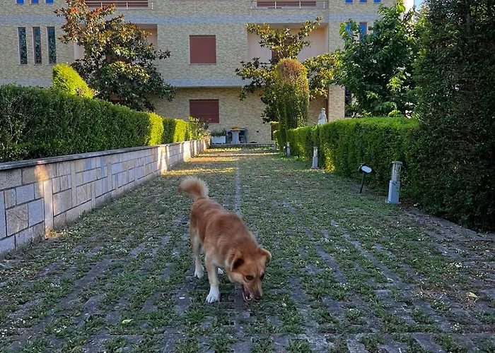 Appartamento Albanian Apollonia *